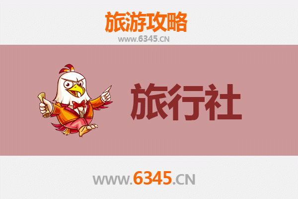 天津红桥区本地旅行社推荐及深度游玩攻略