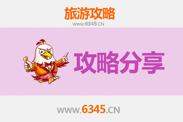天津红桥旅游攻略：跟团与自由行深度对比